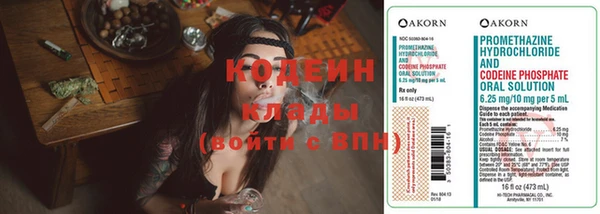 хмурый Надым