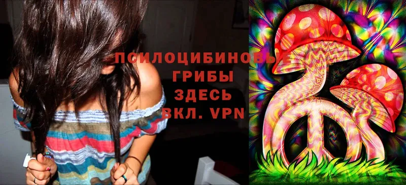 Галлюциногенные грибы Psilocybe  blacksprut сайт  Руза 